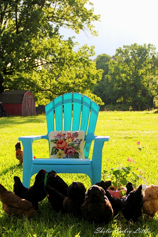 blue chair 1 (533x800)