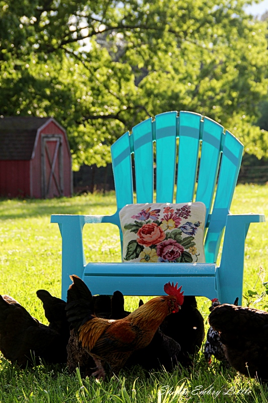 blue chair 2 (533x800)