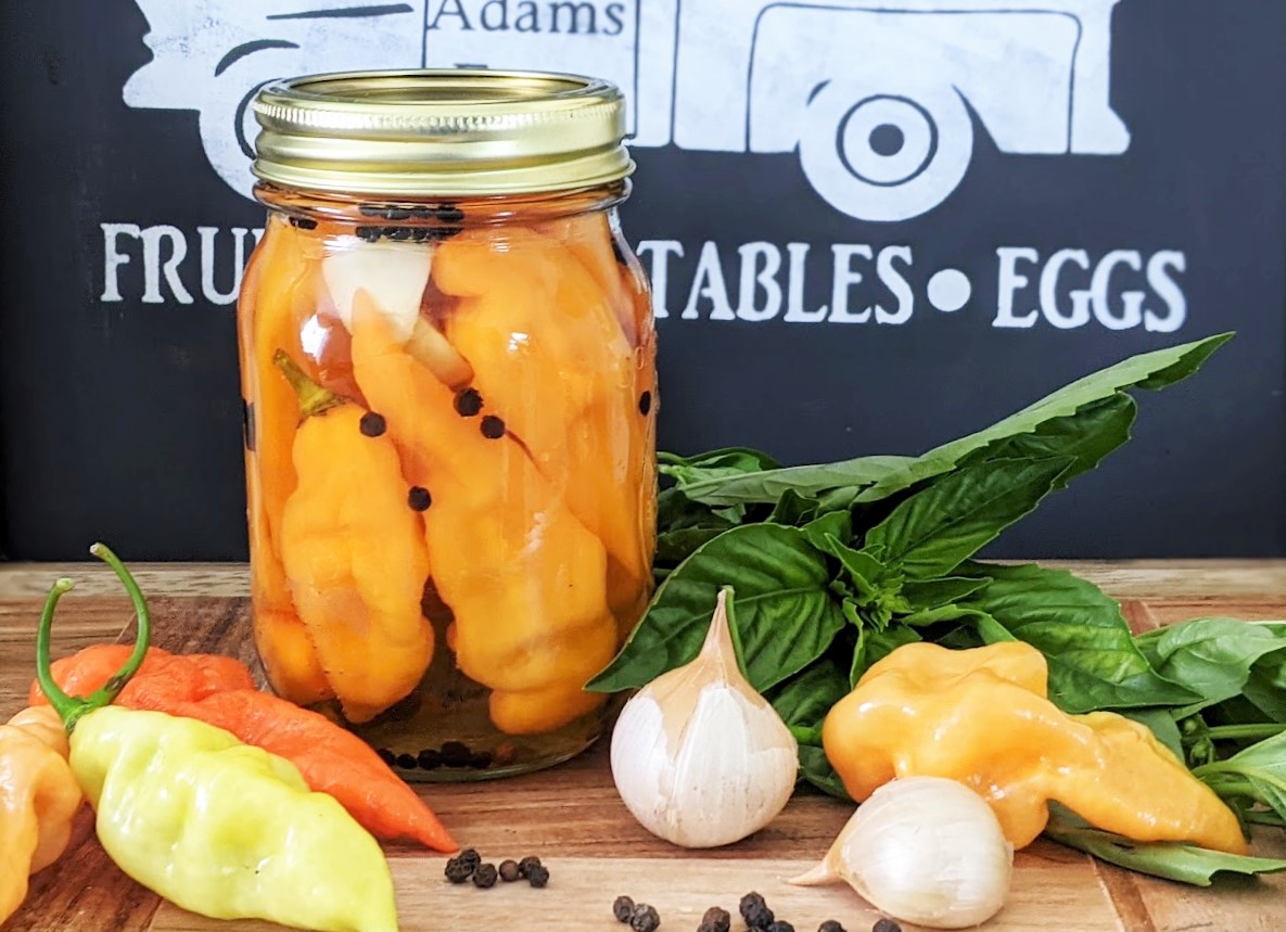 CANNING HABANADA PEPPERS