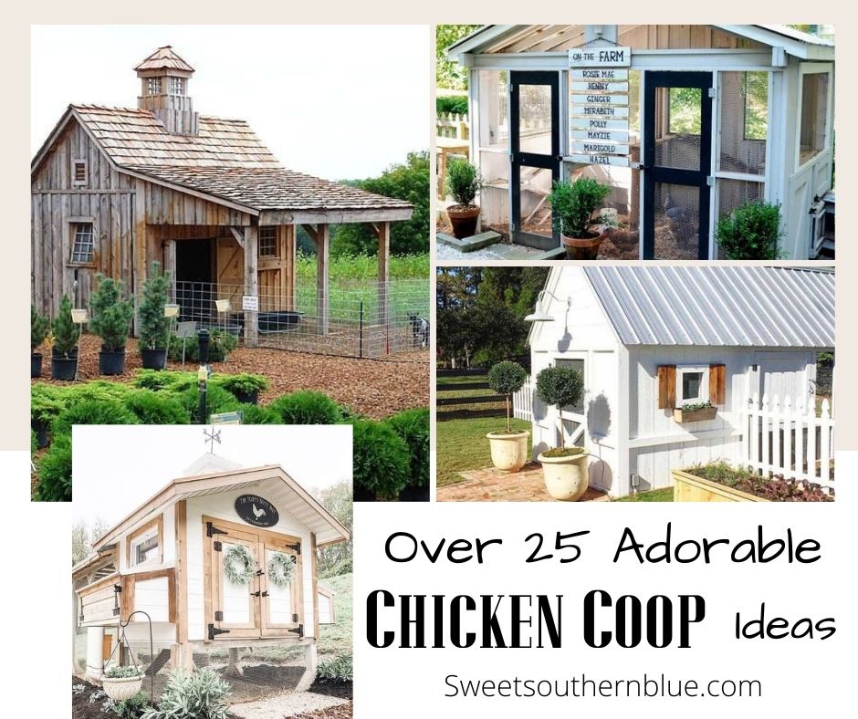 OVER 25 ADORABLE CHICKEN COOPS