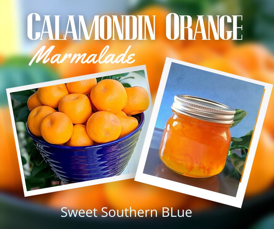 MAKING CALAMONDIN ORANGE MARMALADE